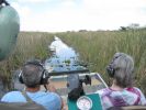 PICTURES/Everglades Air-Boat Ride/t_IMG_8966.JPG